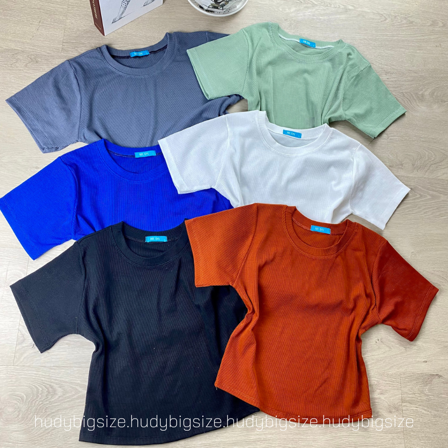 BIGSIZE ( 60-80KG) - ÁO CROPTOP THUN GÂN CỔ TRÒN BASIC