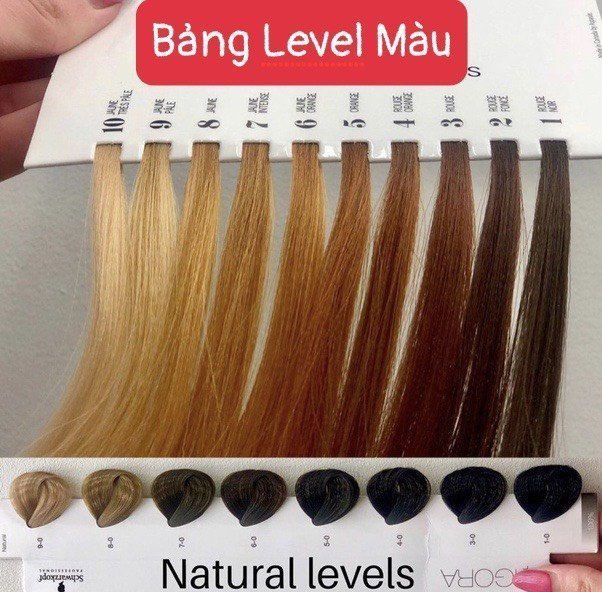 Kem Nhuộm Tóc Màu Xám Khói Tự Nhuộm Tại Nhà 8.11 Light Ash Blonde Hair Color Dye