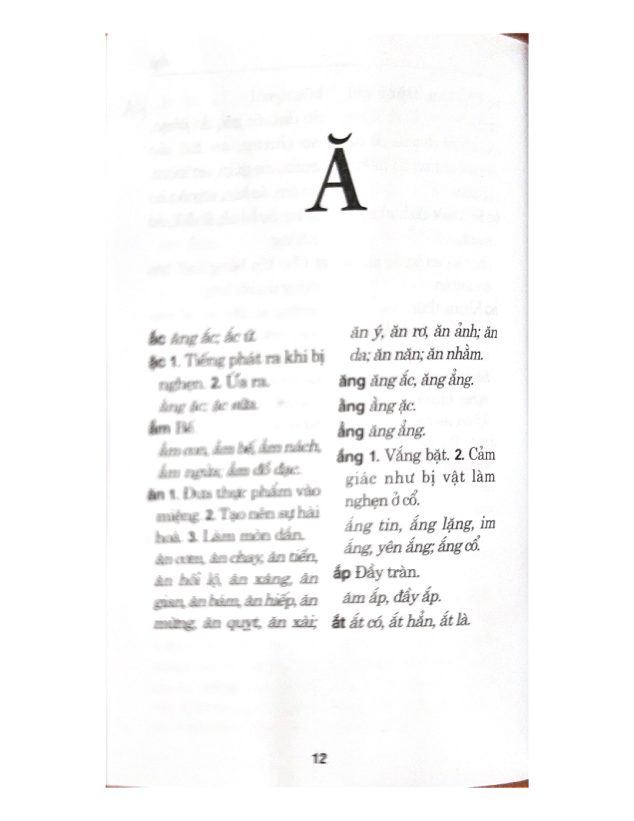 Sách - Từ Điển Chính Tả Tiếng Việt (Vl)-Vanlangbooks