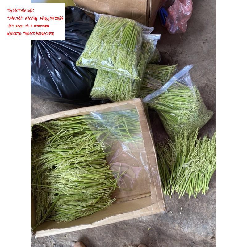 1kg Đòng đòng lúa nếp ngâm
