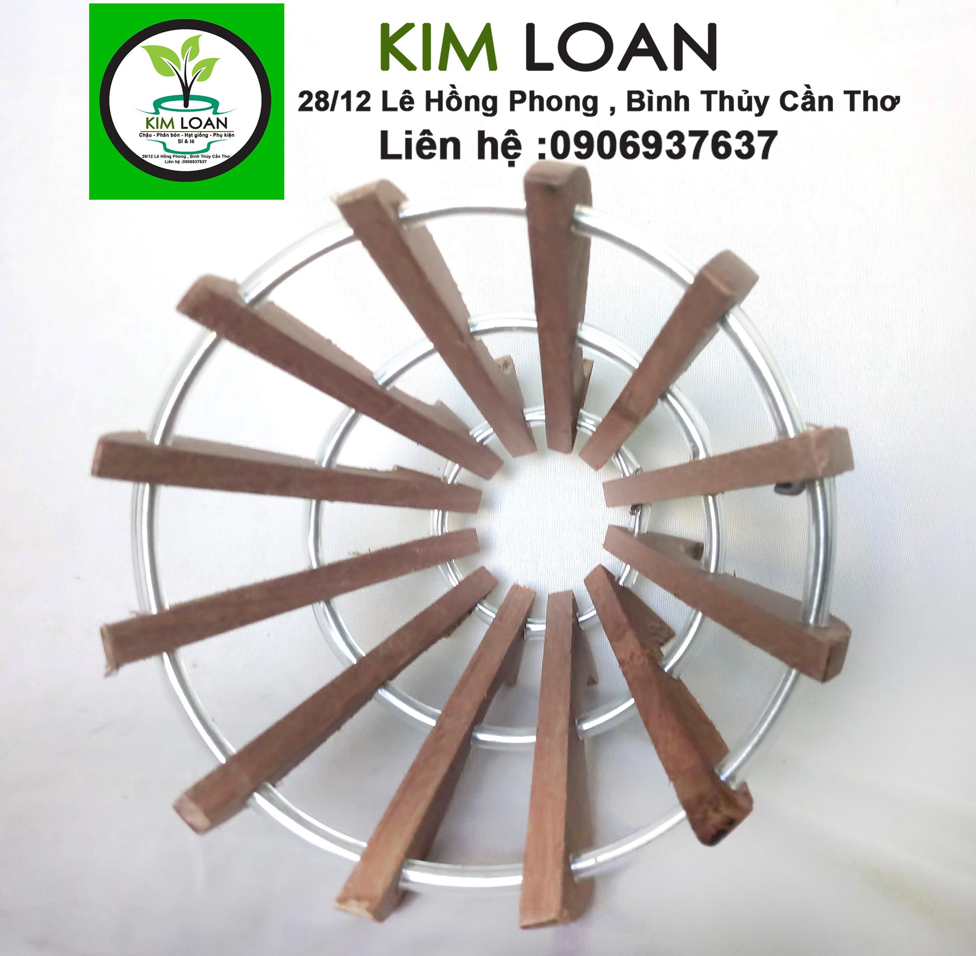 Combo 2 chậu lan gỗ hình ly 18x18cm