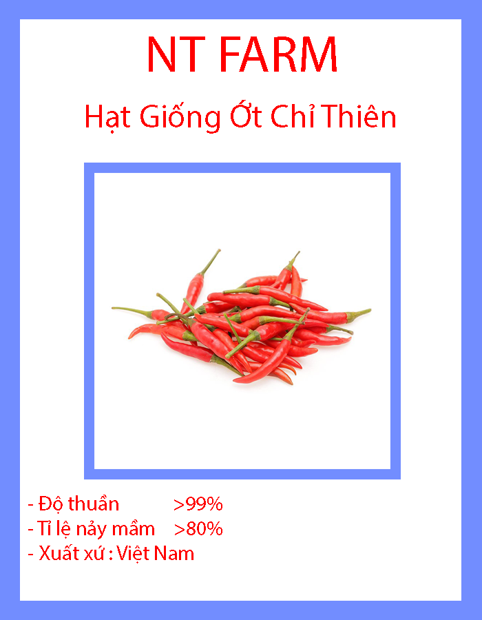 Hạt Giống Ớt Chỉ Thiên F1