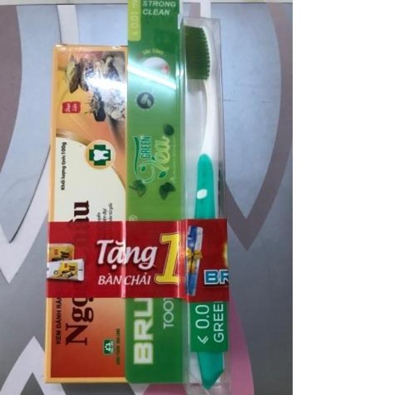 Combo 2 hộp Kem đánh răng dược liệu Ngọc Châu ( 100g x 2 ) tặng 1 bàn chải đánh răng giá 25k nhập khẩu