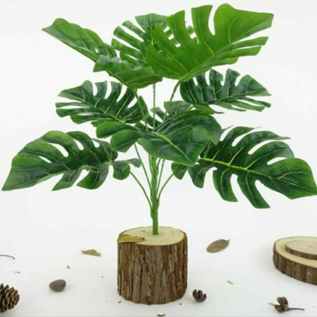 CÂY LÁ RÙA 9 LÁ DECOR PHÒNG ỐC LIZ48