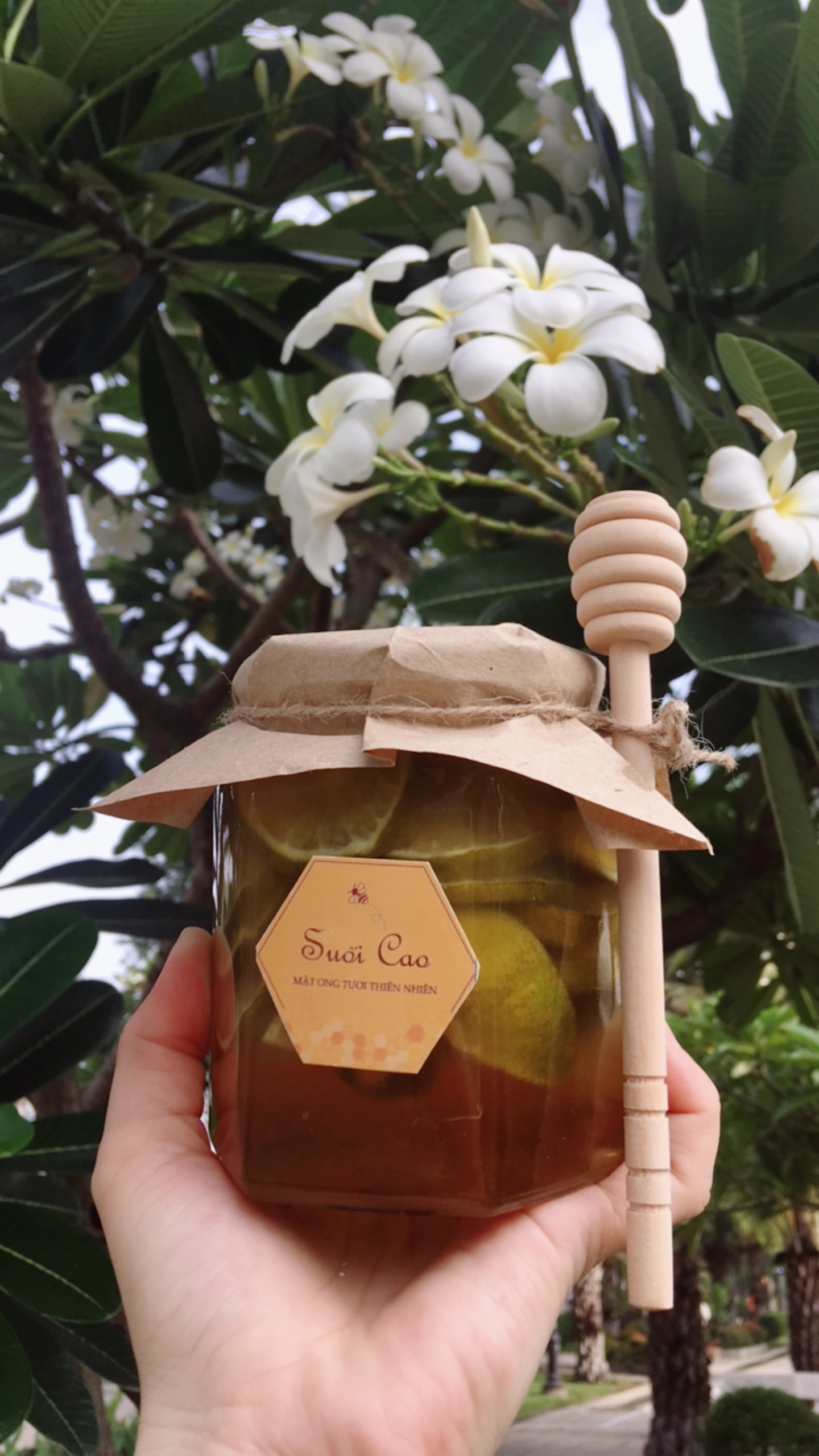 CHANH-NGÂM-MẬT-ONG-ĐƯỜNG-PHÈN-380ML