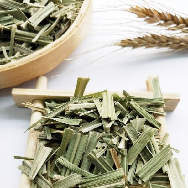 TRÀ LÁ NẾP TÂY BẮC ( Trà Lá Dứa/ Lá Thơm/ Lá Cơm Nếp)