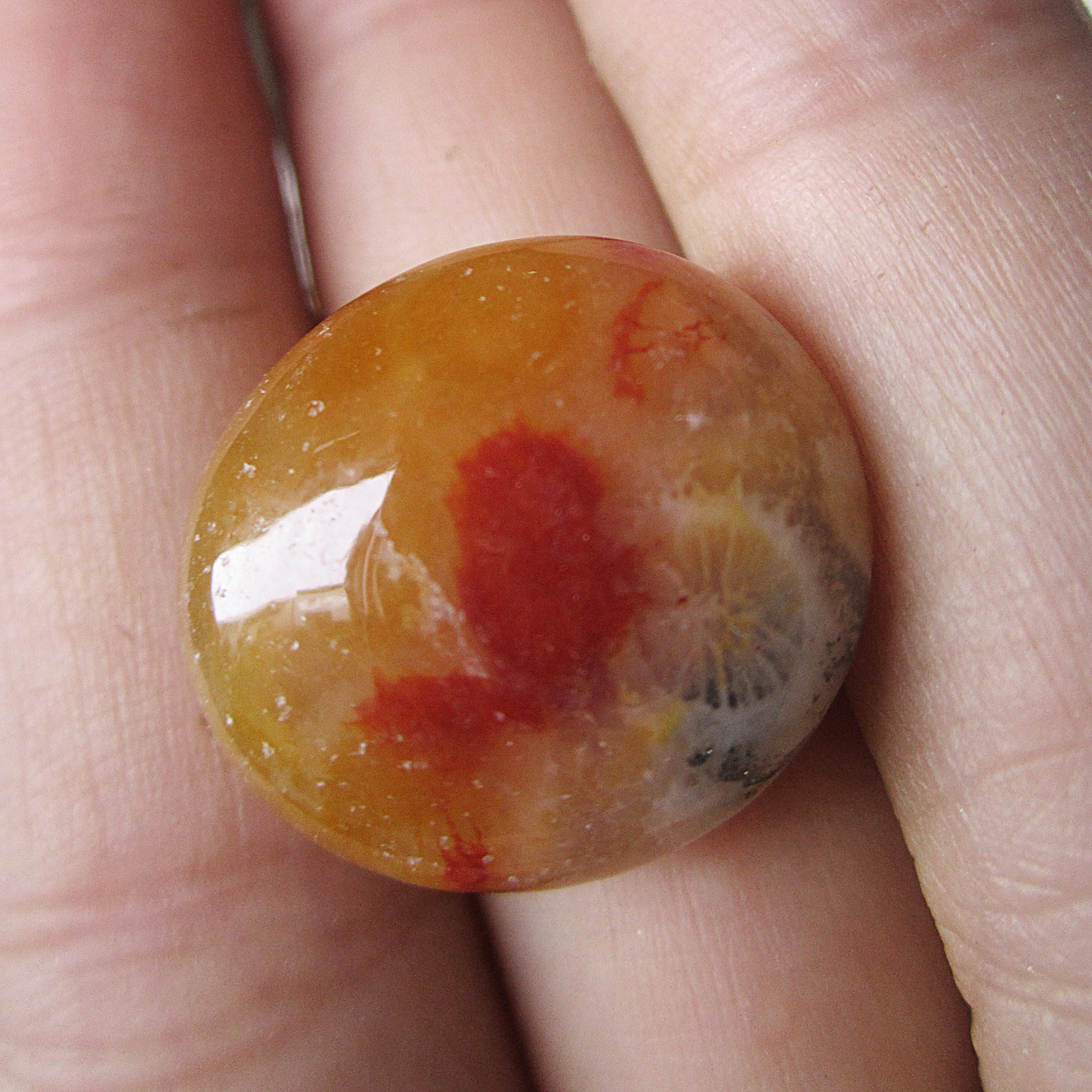 100Gr Đá Hoa Cúc - Coral agate - đá san hô