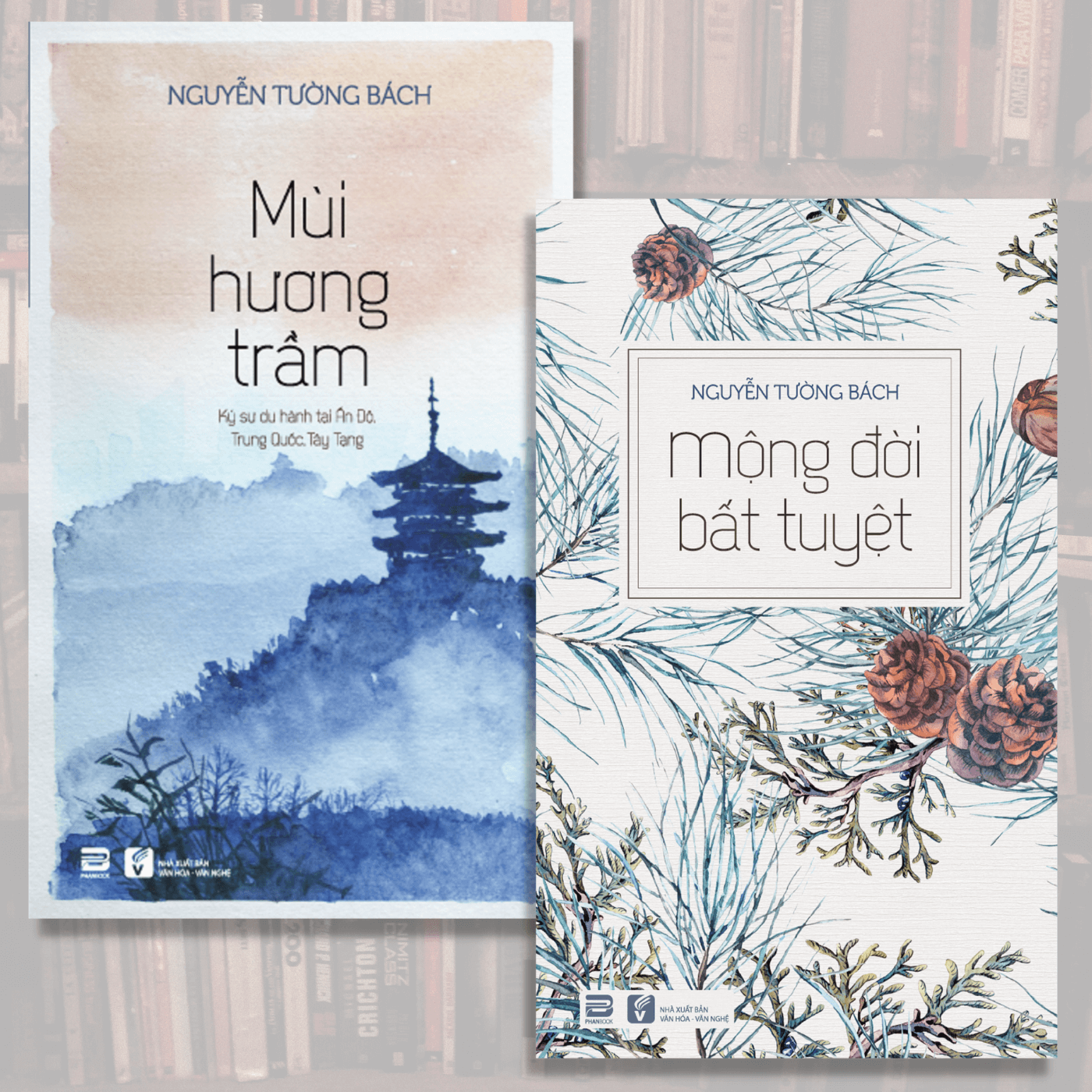Sách - Combo Nguyễn Tường Bách