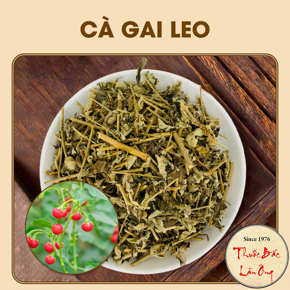 Cà gai leo 100g, khô, sạch, hỗ trợ giải độc, hạ men gan, mát gan, thanh nhiệt, giảm mụn nhọt