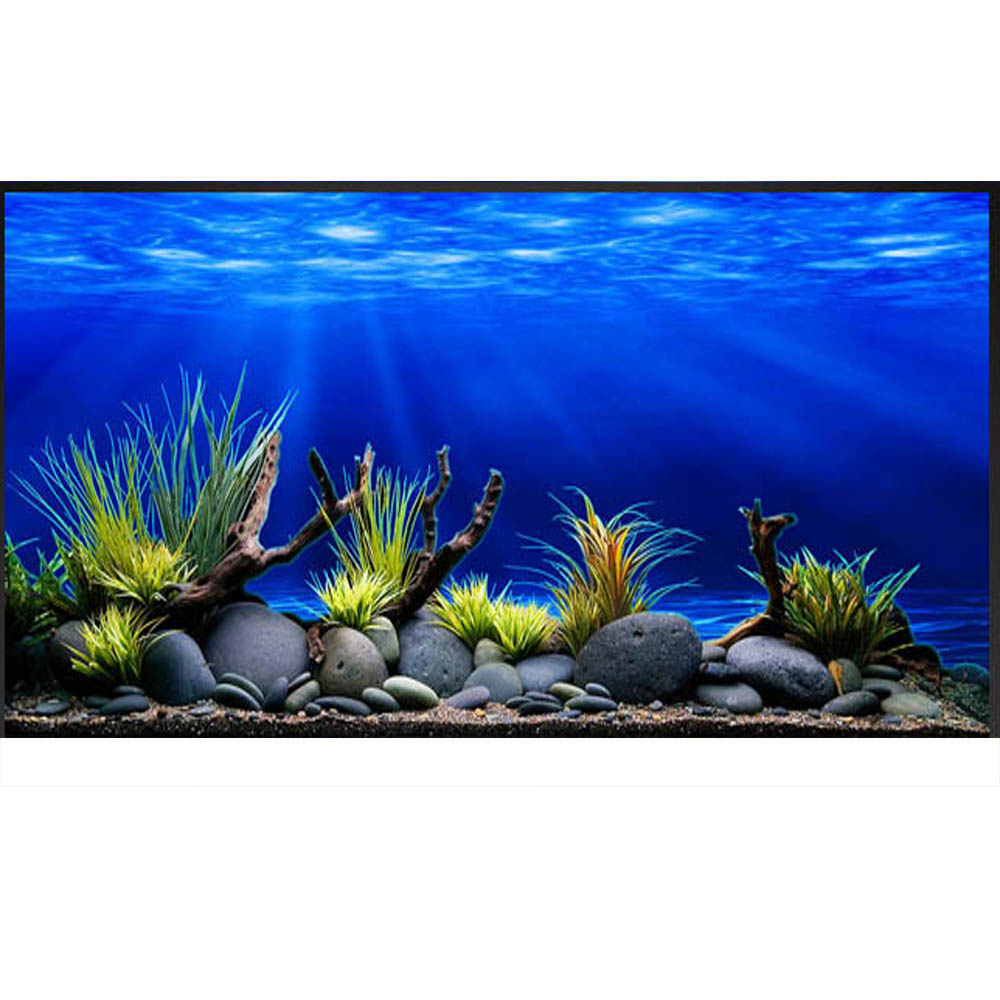 Tranh bể cá 3D, tranh hồ cá trang trí bể cá cảnh. Tranh 3d có keo sẵn 3 lớp