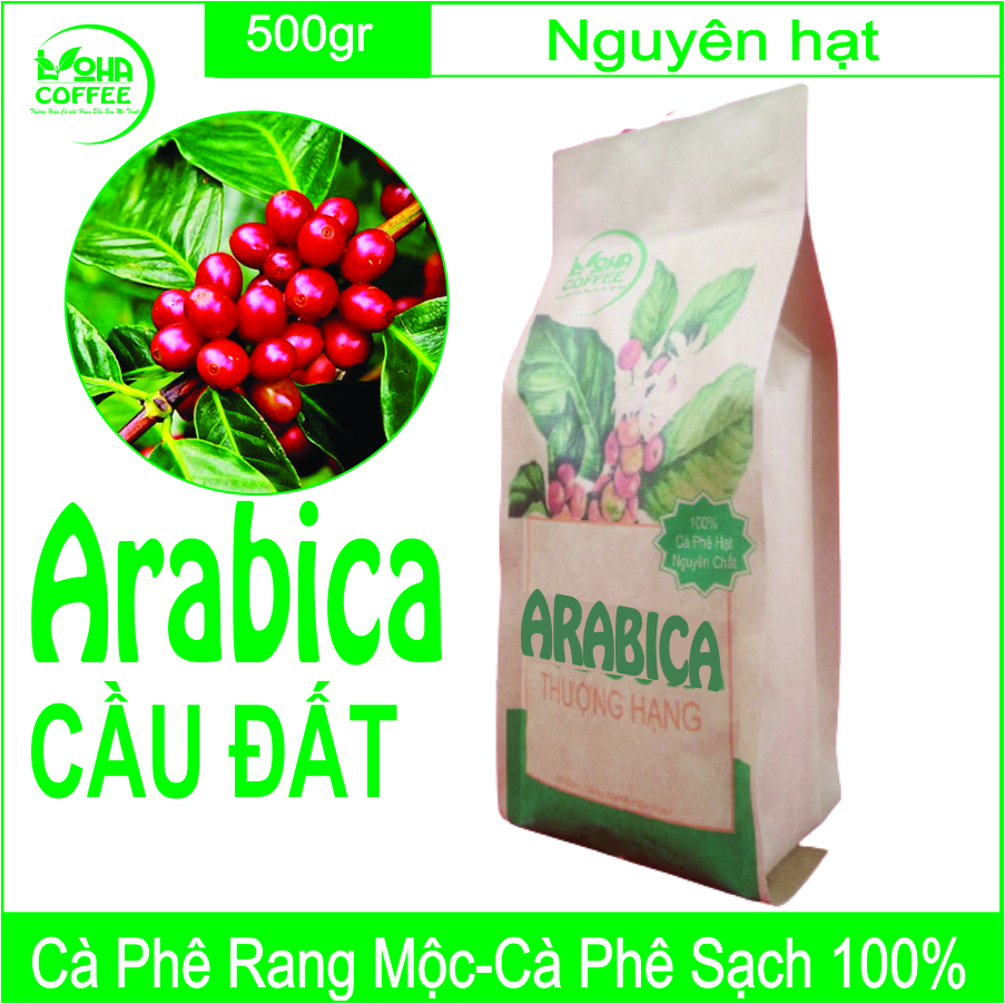 500gr Cà Phê Hạt Arabica Đà Lạt Rang Mộc Dạng Hạt Pha Máy -LOHA COFFEE