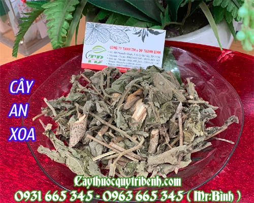 Cây an xoa khô 1kg bình phước có giấy qttp - dược liệu thanh bình