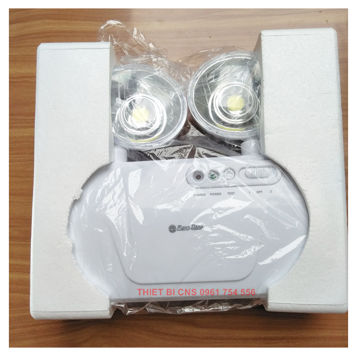 Đèn LED Chiếu sáng khẩn cấp 10W Rạng Đông - Chính hãng