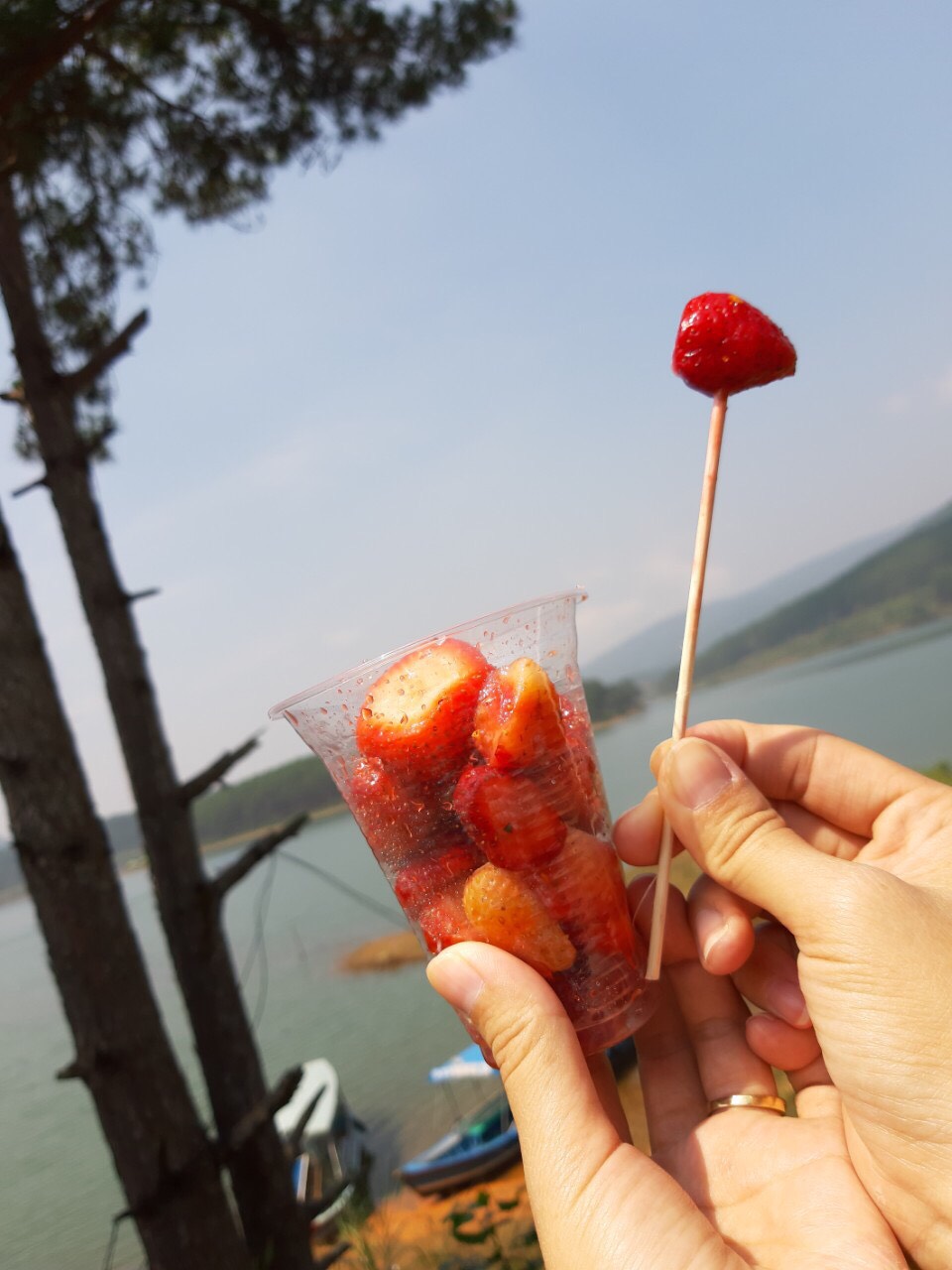 MUỐI XÍ MUỘI đặc sản Đà Lạt hủ 100gram 30.000đ