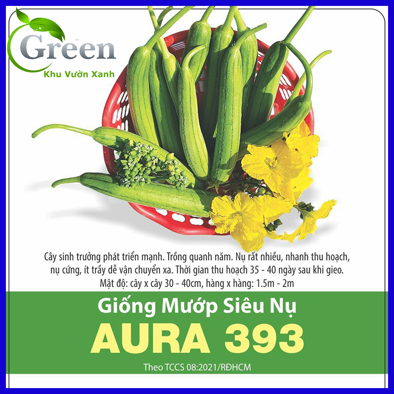 Hạt giống mướp siêu nụ