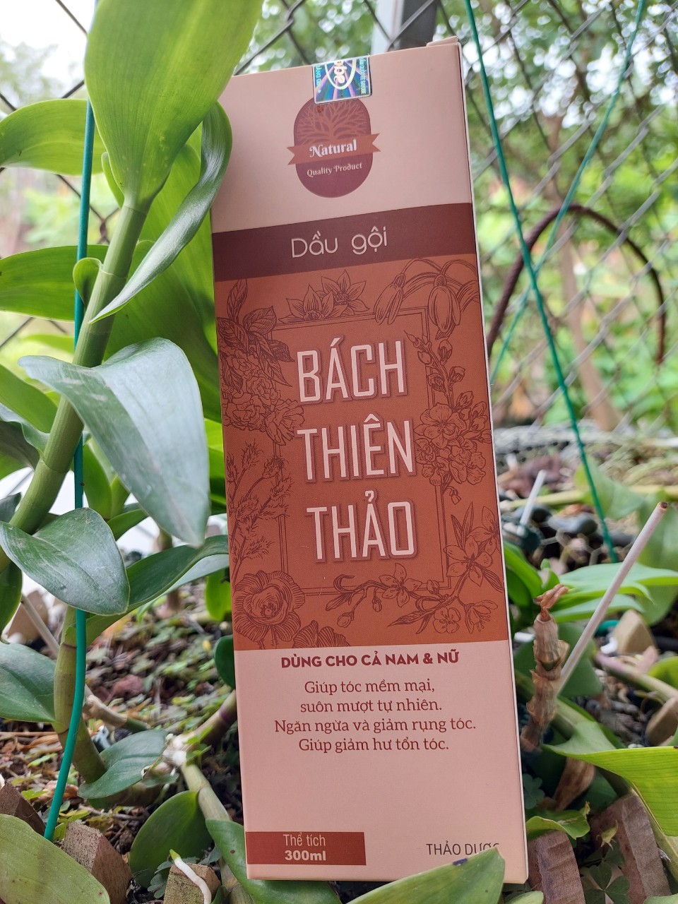 Dầu gội mọc tóc, ngăn rụng tóc Bách thiên thảo 300ml
