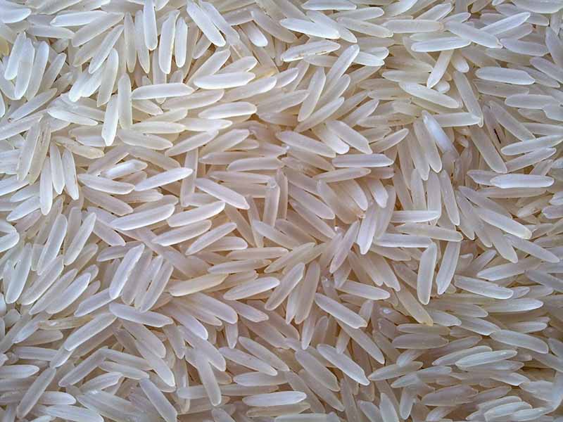 Gạo Thơm Lài Campuchia (bao 10KG)
