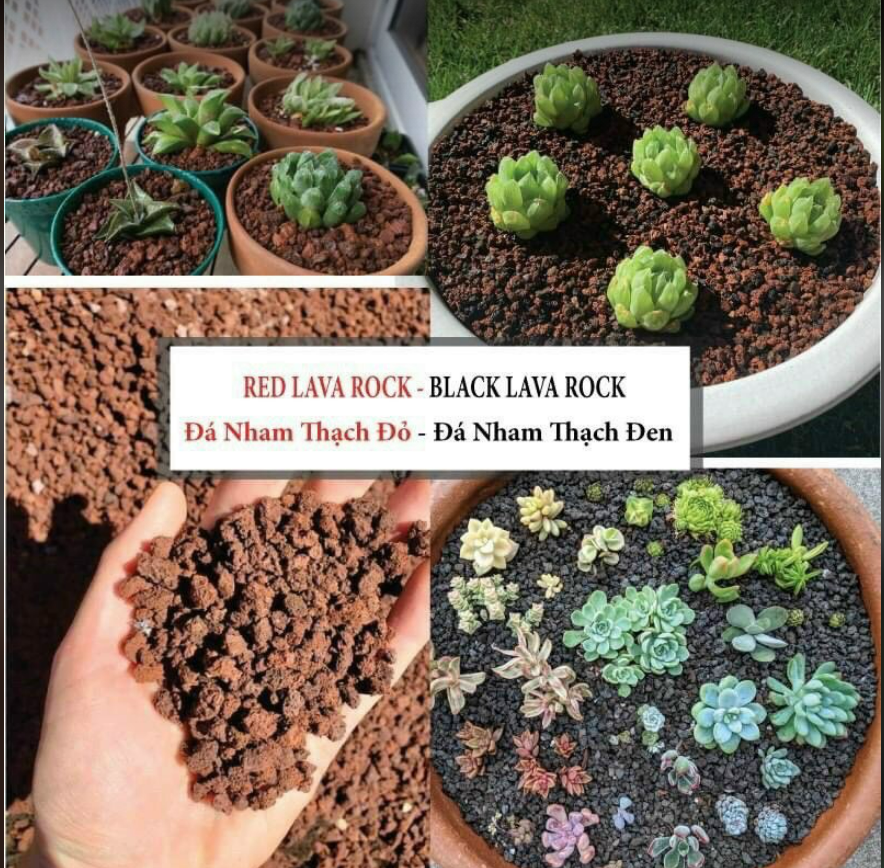 1KG Đá nham thạch đen hoặc đỏ size 3-6mm - Lava đen đỏ - đá rải mặt xương rồng sen đá