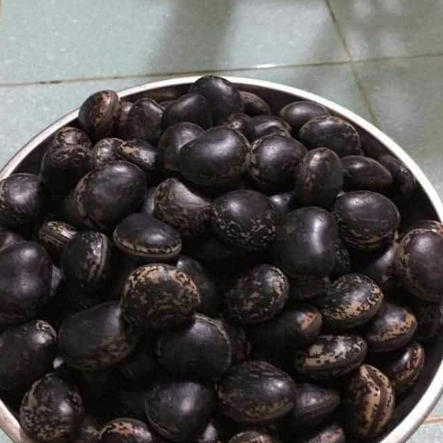 10 HẠT ĐẬU LÀO