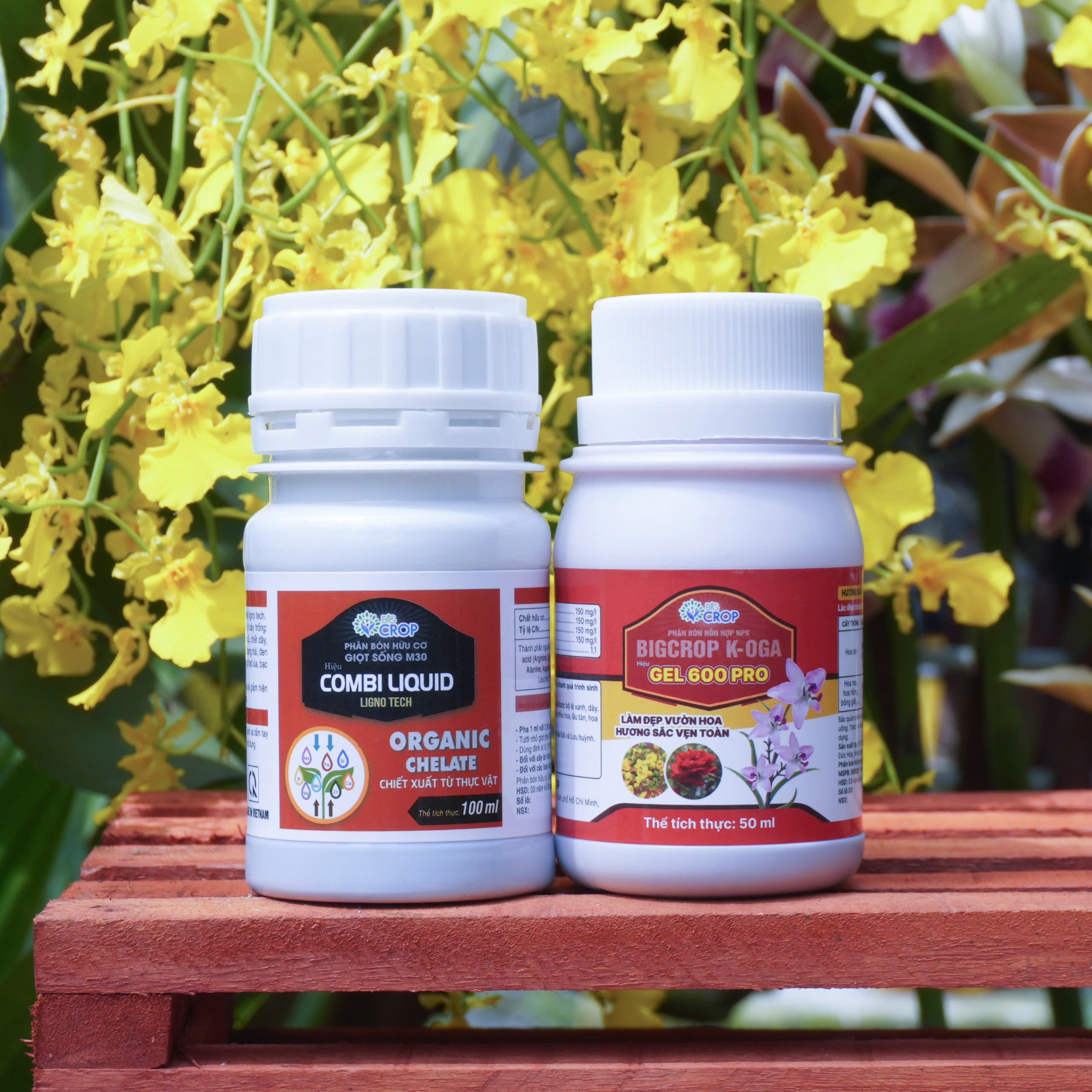 COMBO8 100 - Phân Bón Chăm Hoa Lan, Cây Cảnh Ở Mọi Giai Đoạn (100g/ml/chai)