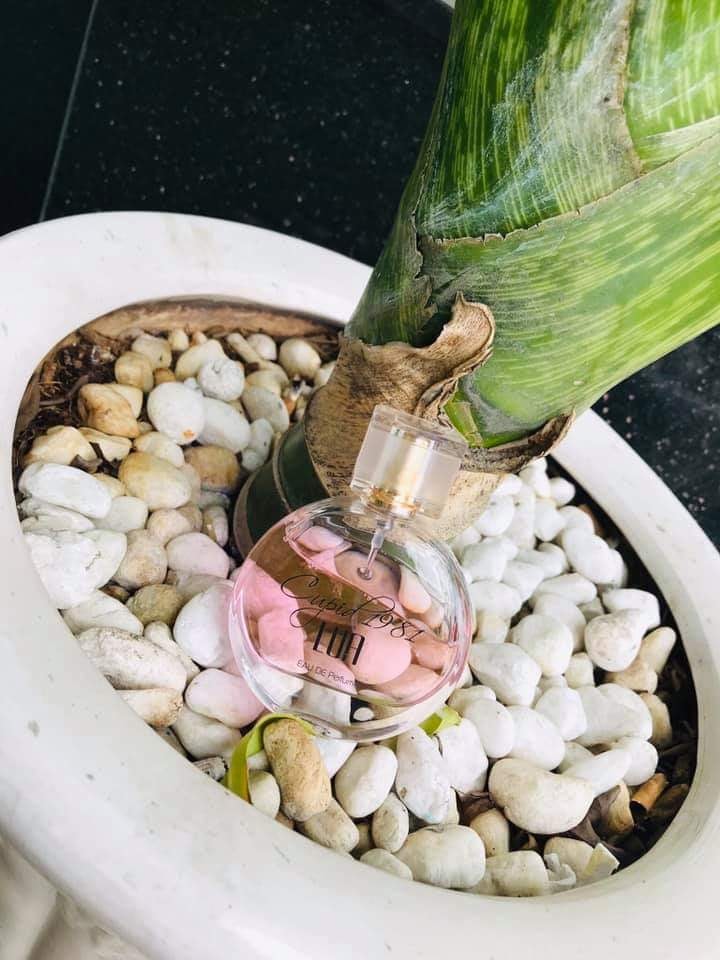 Nước Hoa LUA Xạ Hương Nhiệt Đới 50ml