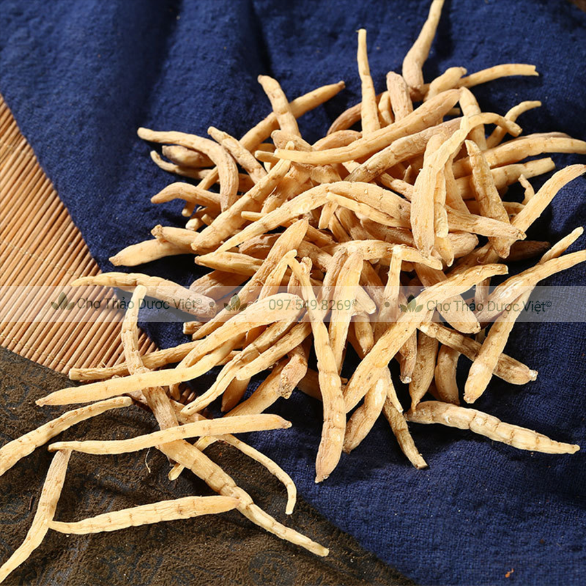 Sâm đất (Thái tử sâm) 100g - Chợ Thảo Dược Việt