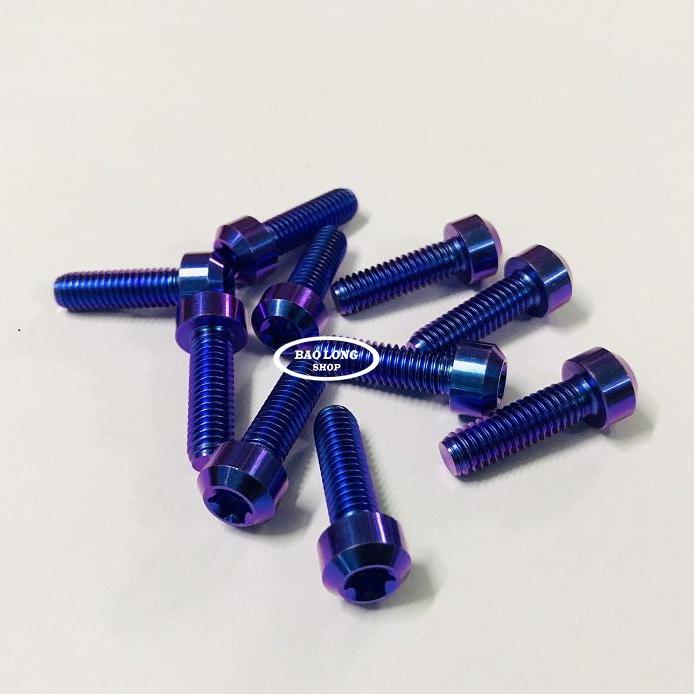 10 con Ốc Titan GR5 Đầu Trụ 6li 2 Xanh Tím (Titan 100% )