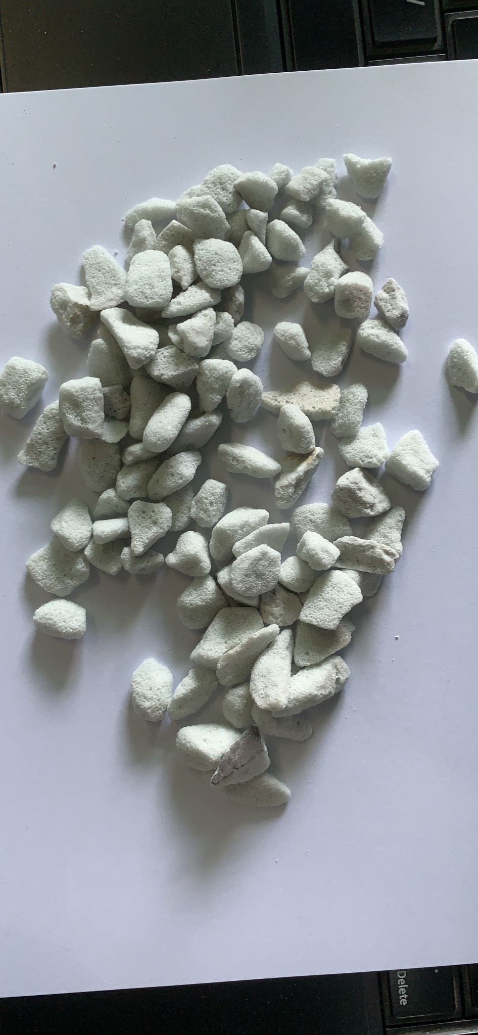 Đá trân châu Perlite trồng sen đá hoa lan túi 2 lít