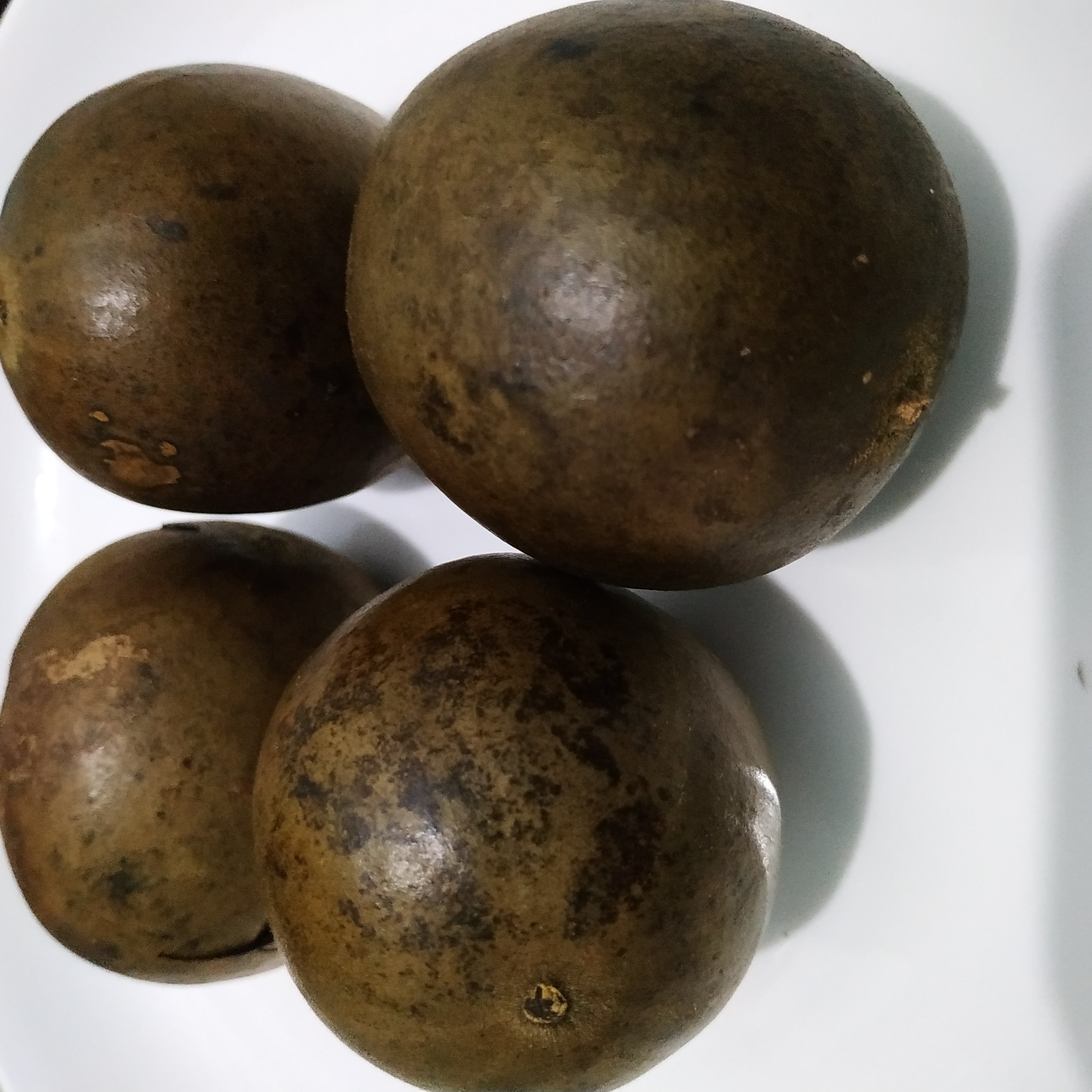 La hán quả - 1 trái cỡ nhỏ - dùng nấu nước sâm