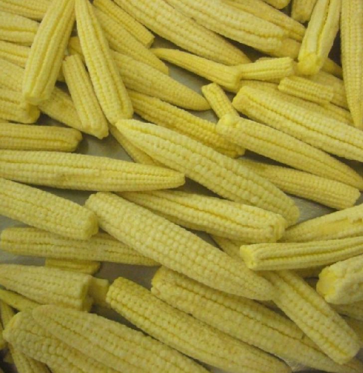 Hạt Giống Ngô Bao Tử - 1 gói 30 hạt