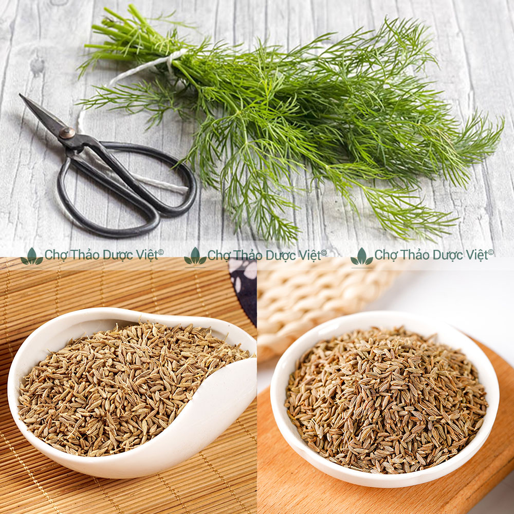 Cumin - Hạt thì là Ai Cập 100g ( Hạt thì là đen, khô, thơm làm gia vị tẩm ướp ) Chợ Thảo Dược Việt
