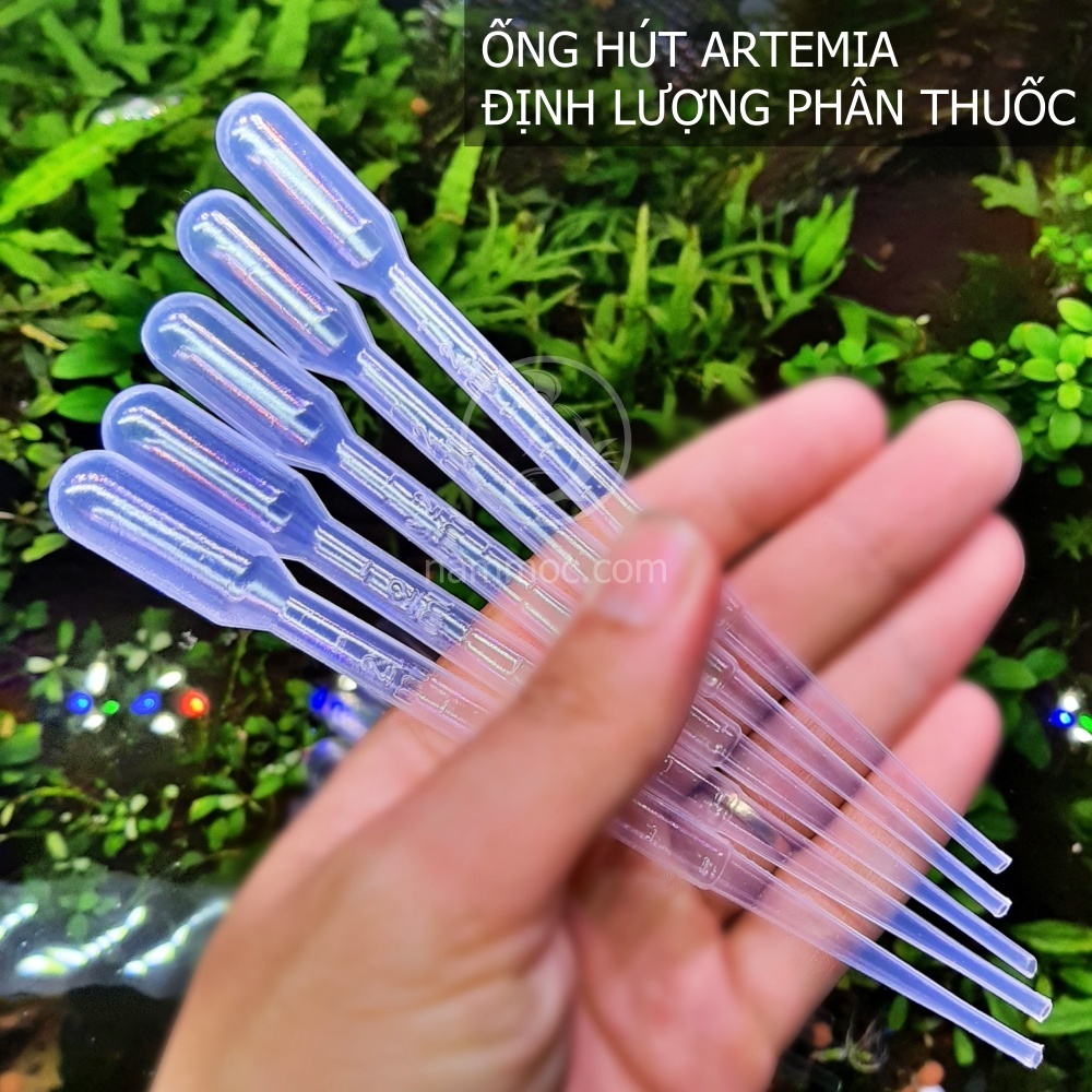 Diệt Rêu Hại Cho Thủy Sinh - 2 chai