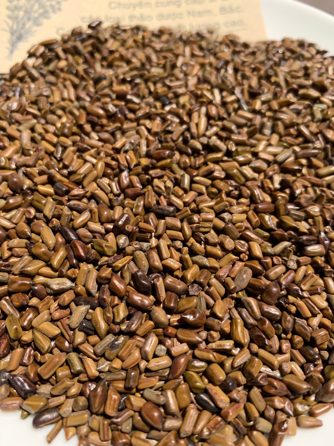 [HCM]Thảo Quyết Minh 100gram