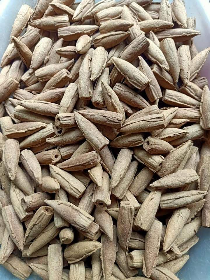 nụ trầm hương