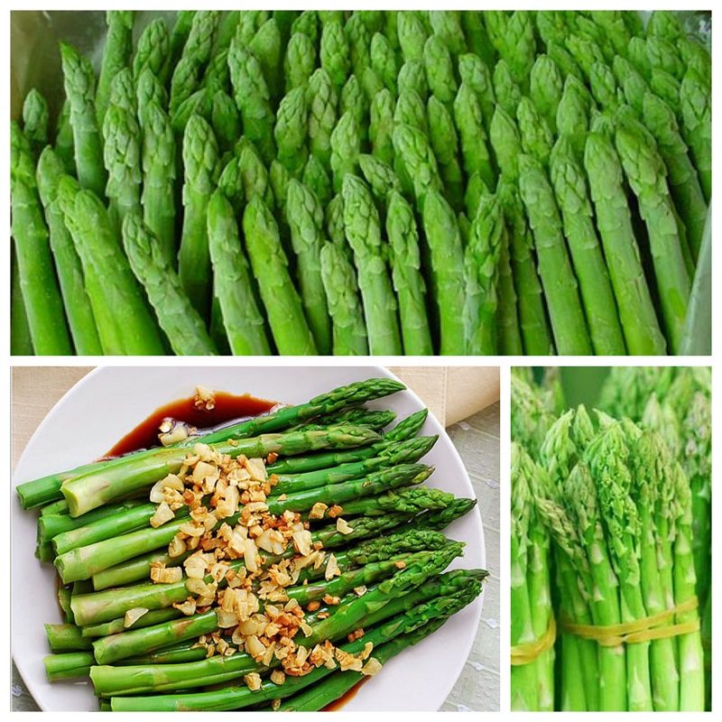 Hạt Giống Măng Tây Xanh