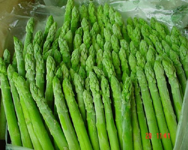 Hạt giống Măng Tây Mỹ - 0.5gr/gói