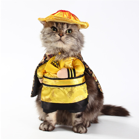 Áo cosplay cho chó mèo S, M, L (Inbox chọn mẫu)