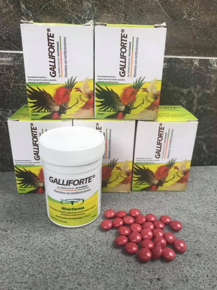 [HCM]Galliforte (1 hộp) - Pet Food Store.