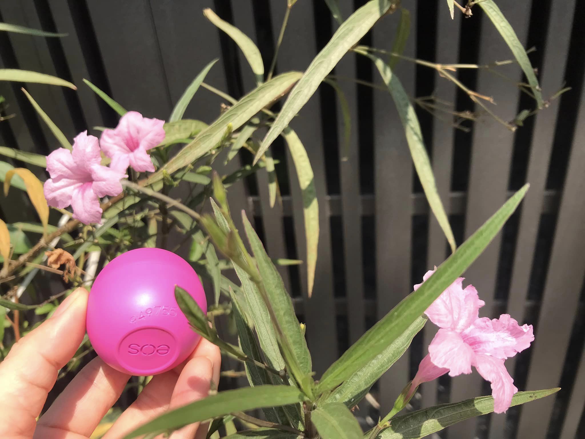 1 Son trứng EOS dưỡng môi 25 gam