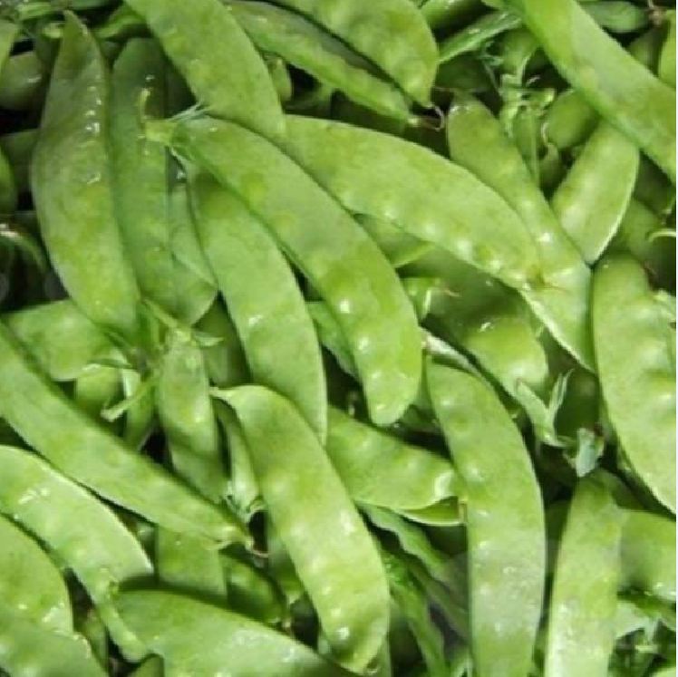 Hạt giống đậu hà lan ( thu trái ) - Gói 50gram