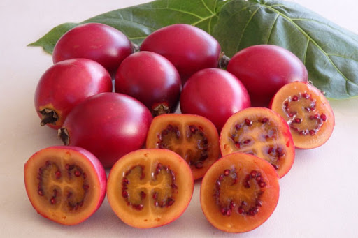 Gói 10 hạt giống Cà Chua Thân Gỗ Tamarillo Đỏ