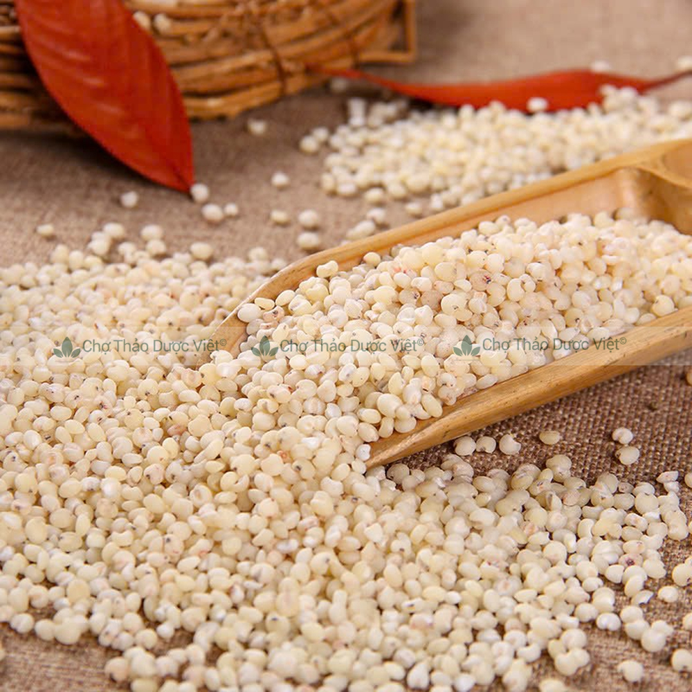 Y dĩ khô 100g, hạt bobo nếp, nguyên liệu hầm gà, nấu cháo, chè, trà lợi sữa sau sinh