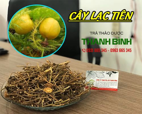 Cây Lạc Tiên Khô 1KG - Thảo Dược Thanh Bình