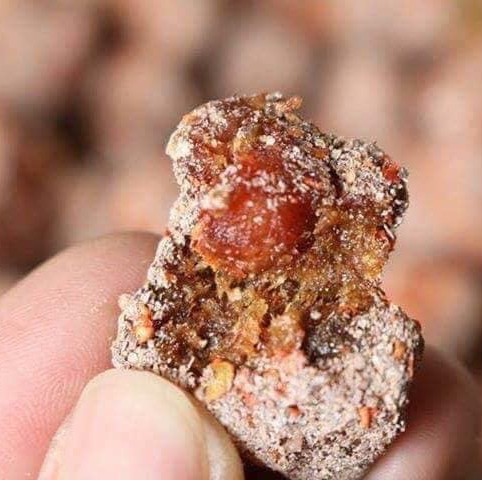 Me xí muội chùm ruột chua cay đặc biệt