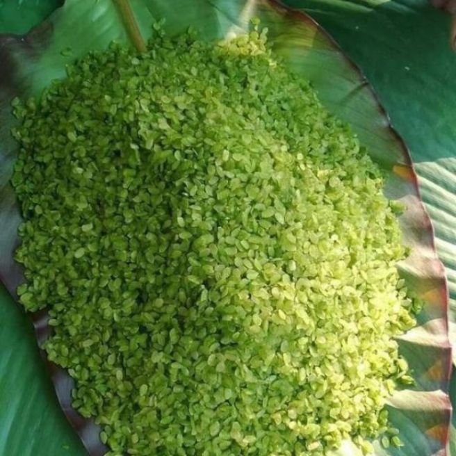 sỉ toàn quốc 1kg cốm xanh nấu chè