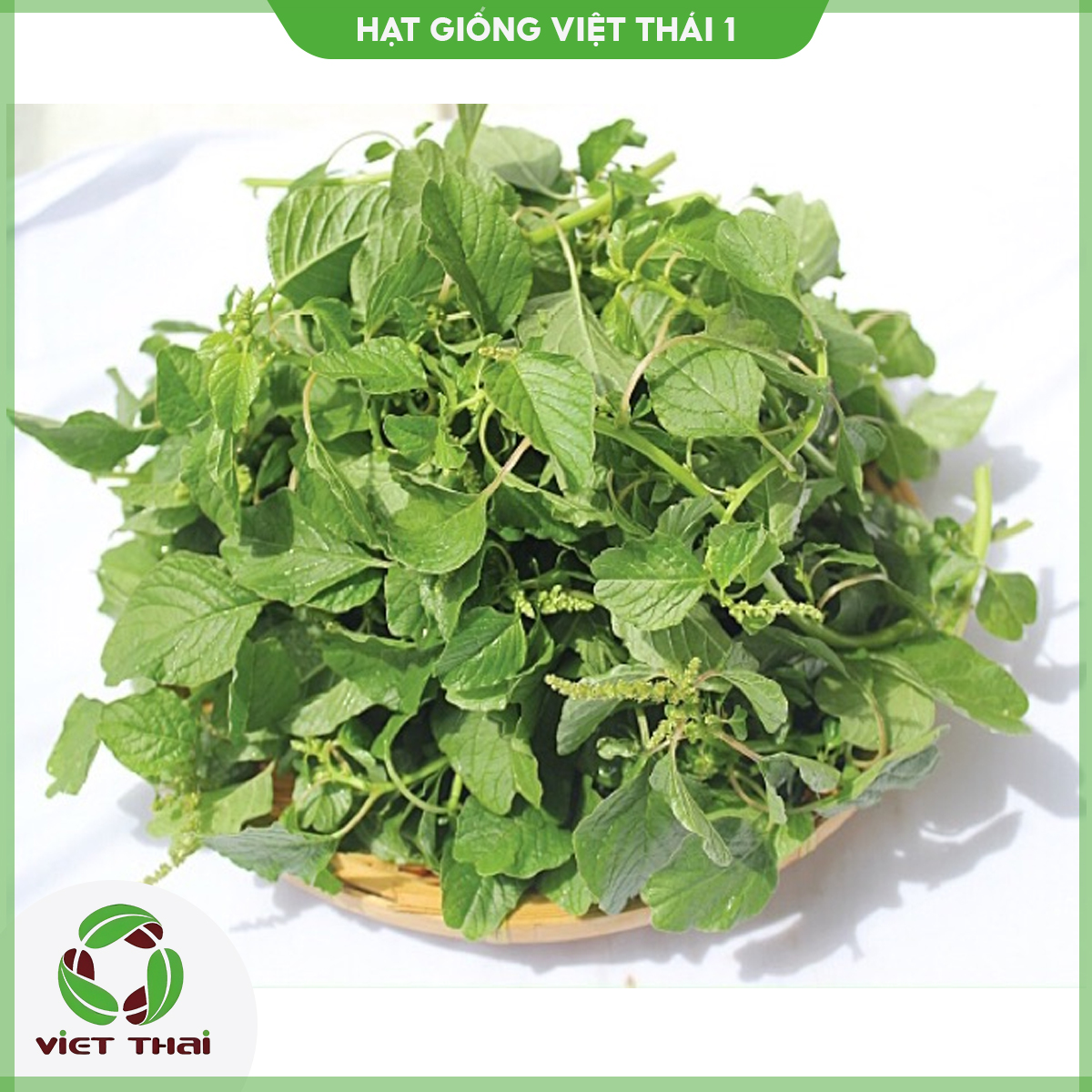 [SALE] Hạt giống rau Dền Xanh - Dền Tía  - Dền Đỏ - Dền Cơm TN - HGVT1