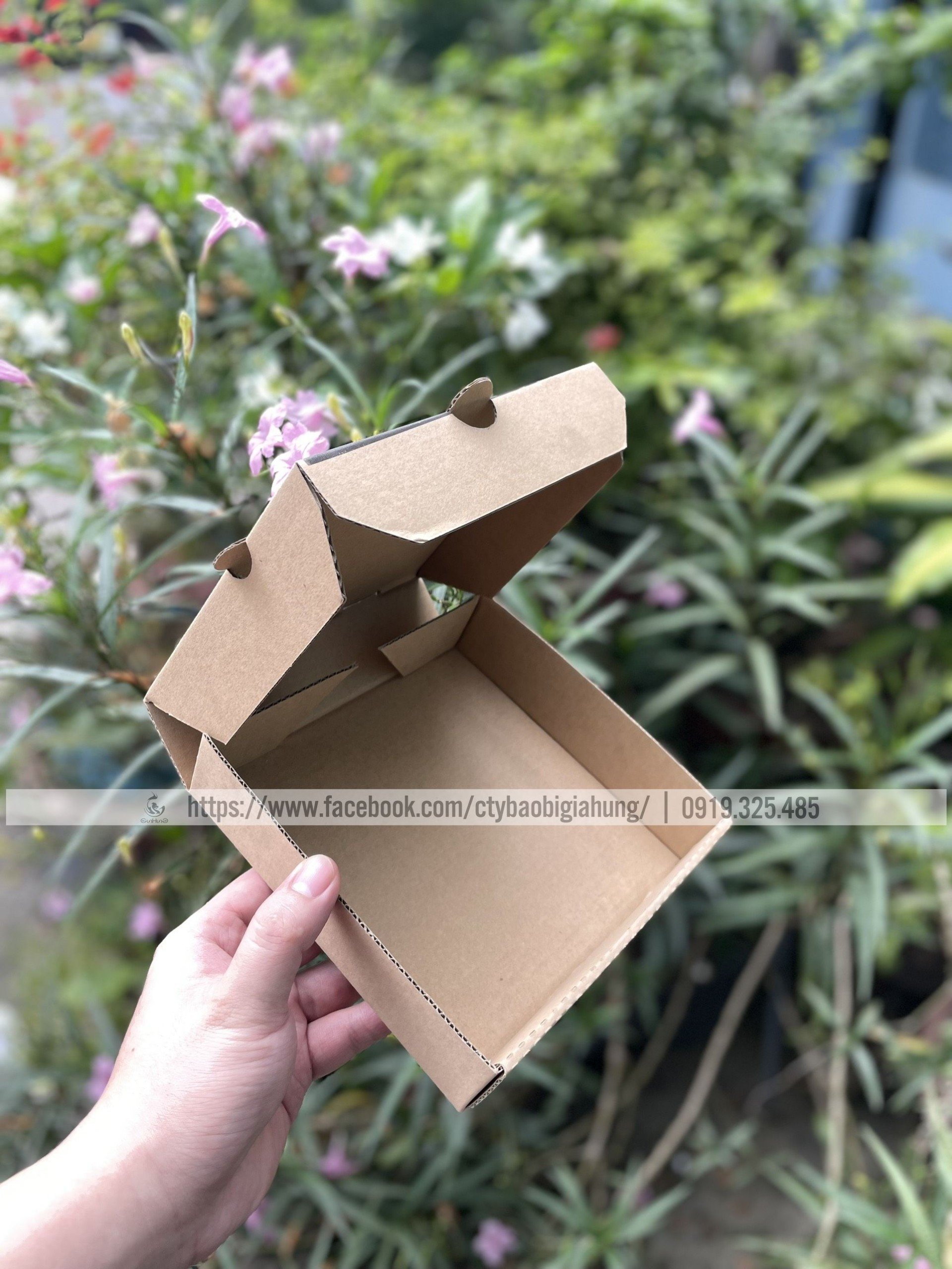 Combo 50 Hộp Pizza (28x28x4cm)