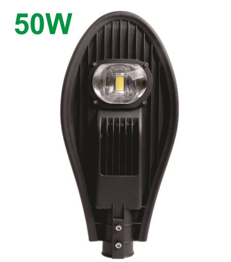 đèn đường chiếc lá led 50W 100w