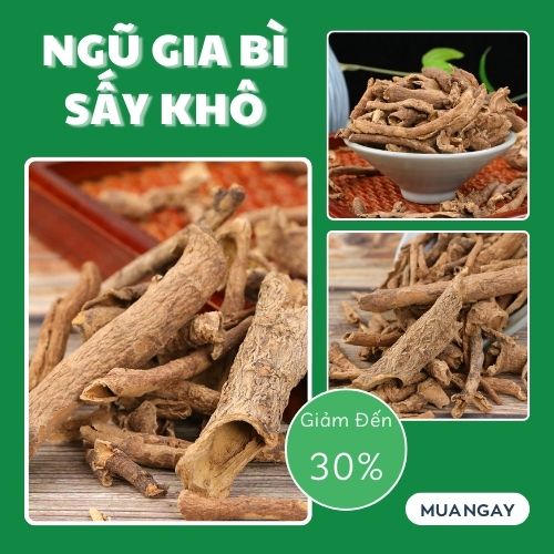 [TÚI LỚN 1KG]Ngũ gia bì sấy khô hàng công ty chất lượng cao - chuyên dùng để hỗ trợ cải thiện tình trạng đau nhứt xương khớp - Thảo Dược Tấn Phát