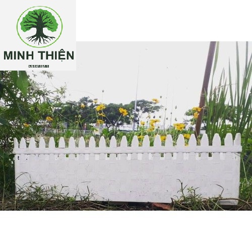 [HCM]Chậu Hàng Rào Lớn Nhựa Dày Size 58cm x 18cm x 20cm